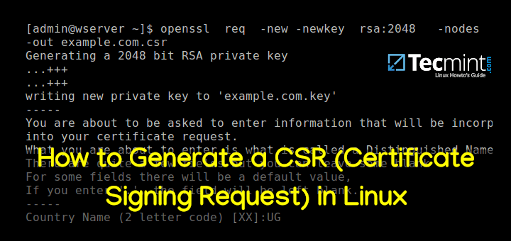 Openssl Generate Csr From Public Key